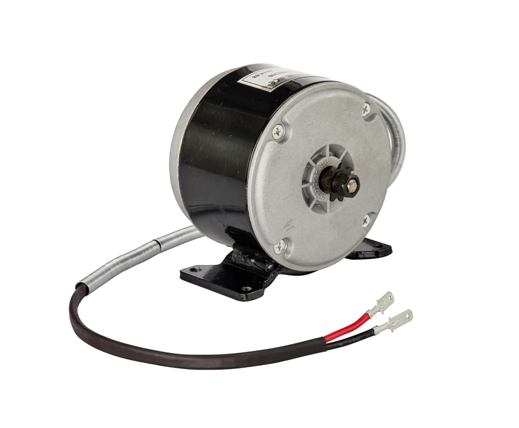 Crazy Cart 24V 250W Motor – TAXI GARAGE